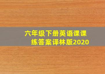 六年级下册英语课课练答案译林版2020