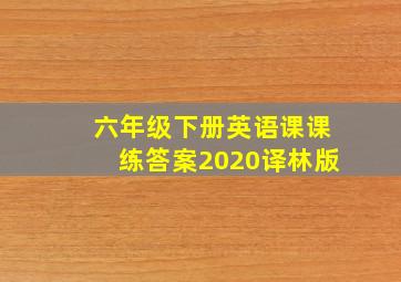 六年级下册英语课课练答案2020译林版