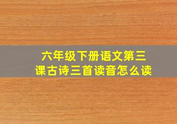 六年级下册语文第三课古诗三首读音怎么读