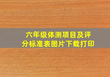 六年级体测项目及评分标准表图片下载打印