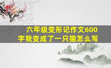 六年级变形记作文600字我变成了一只猫怎么写