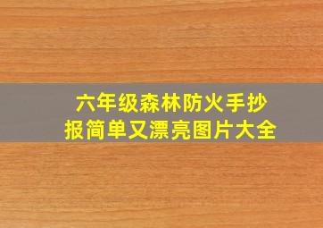 六年级森林防火手抄报简单又漂亮图片大全