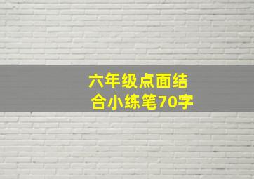 六年级点面结合小练笔70字