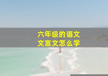 六年级的语文文言文怎么学