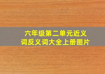 六年级第二单元近义词反义词大全上册图片