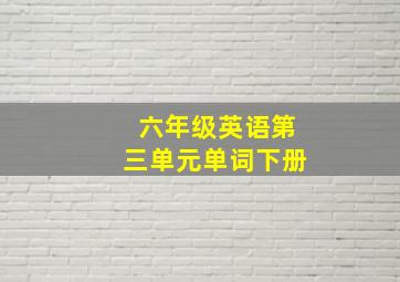 六年级英语第三单元单词下册