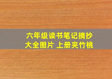 六年级读书笔记摘抄大全图片 上册夹竹桃