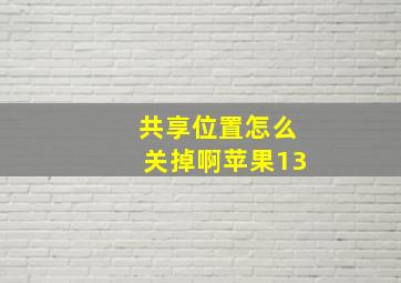 共享位置怎么关掉啊苹果13