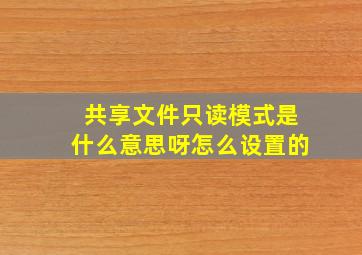 共享文件只读模式是什么意思呀怎么设置的