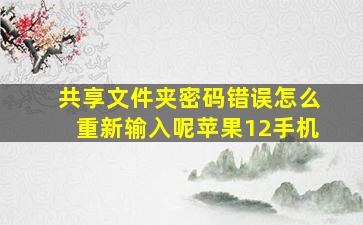 共享文件夹密码错误怎么重新输入呢苹果12手机