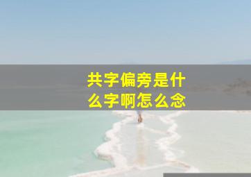 共字偏旁是什么字啊怎么念