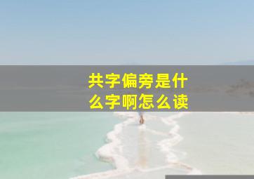 共字偏旁是什么字啊怎么读