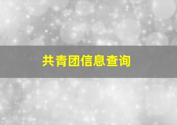 共青团信息查询