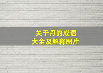 关于丹的成语大全及解释图片