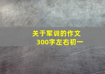 关于军训的作文300字左右初一