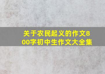 关于农民起义的作文800字初中生作文大全集