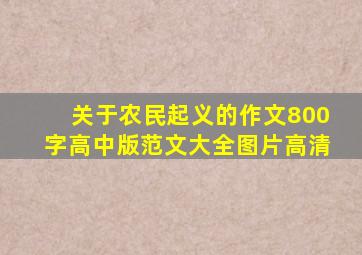 关于农民起义的作文800字高中版范文大全图片高清