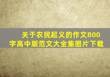 关于农民起义的作文800字高中版范文大全集图片下载