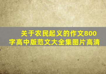 关于农民起义的作文800字高中版范文大全集图片高清