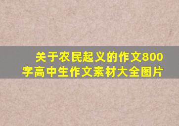 关于农民起义的作文800字高中生作文素材大全图片