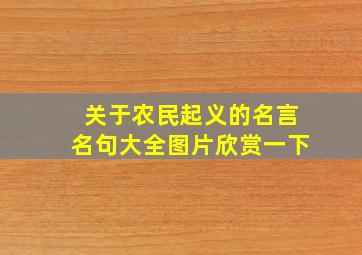 关于农民起义的名言名句大全图片欣赏一下