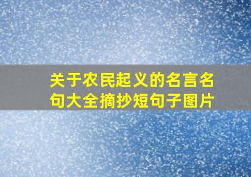 关于农民起义的名言名句大全摘抄短句子图片