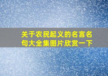 关于农民起义的名言名句大全集图片欣赏一下