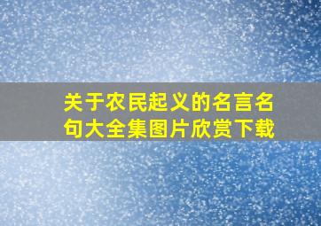 关于农民起义的名言名句大全集图片欣赏下载