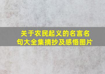 关于农民起义的名言名句大全集摘抄及感悟图片