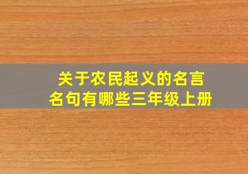 关于农民起义的名言名句有哪些三年级上册