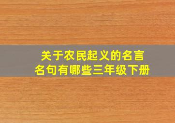 关于农民起义的名言名句有哪些三年级下册