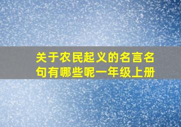 关于农民起义的名言名句有哪些呢一年级上册