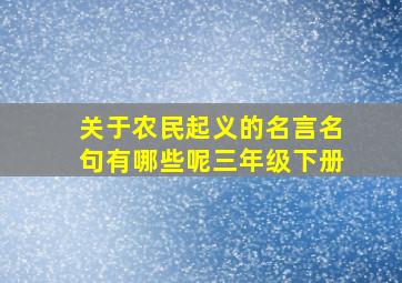 关于农民起义的名言名句有哪些呢三年级下册