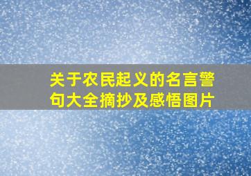 关于农民起义的名言警句大全摘抄及感悟图片