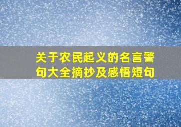 关于农民起义的名言警句大全摘抄及感悟短句