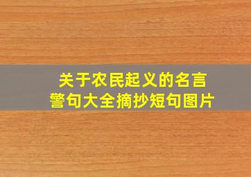 关于农民起义的名言警句大全摘抄短句图片