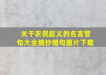 关于农民起义的名言警句大全摘抄短句图片下载