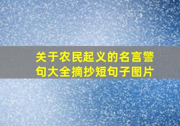 关于农民起义的名言警句大全摘抄短句子图片