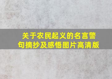 关于农民起义的名言警句摘抄及感悟图片高清版