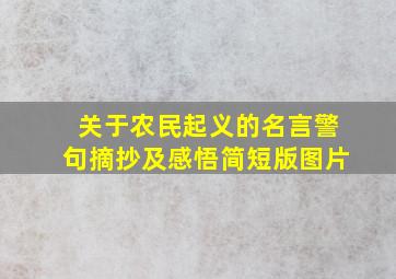 关于农民起义的名言警句摘抄及感悟简短版图片