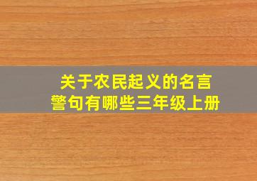 关于农民起义的名言警句有哪些三年级上册