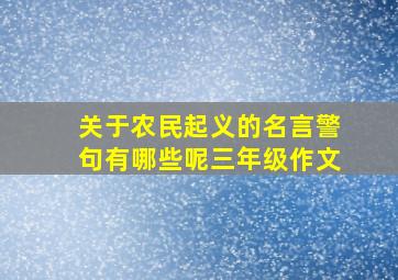 关于农民起义的名言警句有哪些呢三年级作文