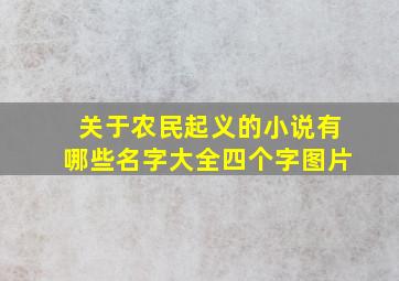 关于农民起义的小说有哪些名字大全四个字图片