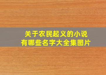 关于农民起义的小说有哪些名字大全集图片