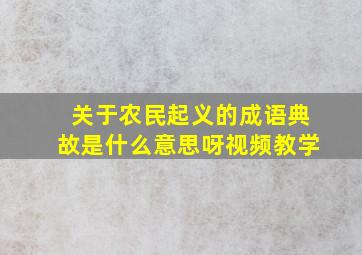 关于农民起义的成语典故是什么意思呀视频教学