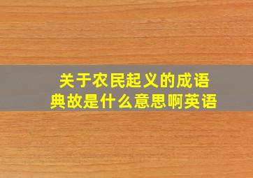 关于农民起义的成语典故是什么意思啊英语