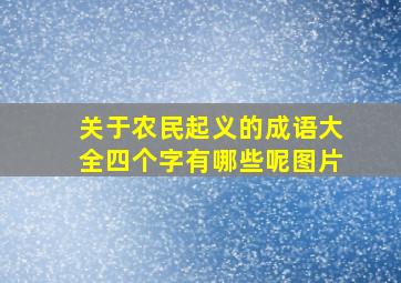 关于农民起义的成语大全四个字有哪些呢图片