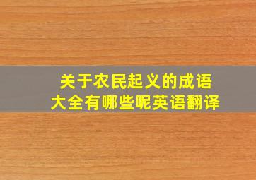 关于农民起义的成语大全有哪些呢英语翻译