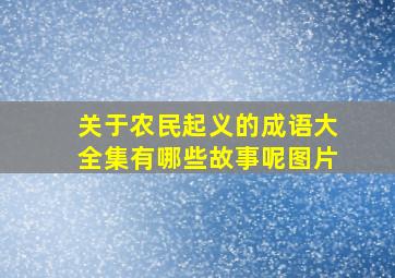 关于农民起义的成语大全集有哪些故事呢图片