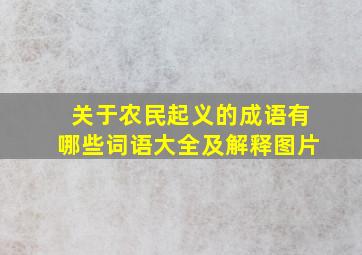 关于农民起义的成语有哪些词语大全及解释图片